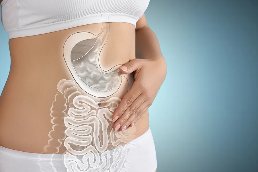 Gut-Health-Doctor Close up of the midriff of a woman with white underwear and an illustration of the digestive system superimposed over the image. Get help for digestive issues and gut health from Dr. Robert Powers of Eternal Vitality Orlando in Orlando.